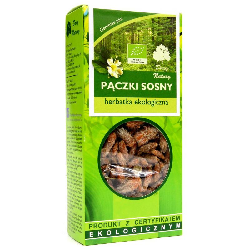 HERBATKA PĄCZKI SOSNY BIO 50 g - DARY NATURY